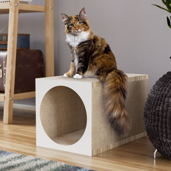 Cat shop scratcher cube