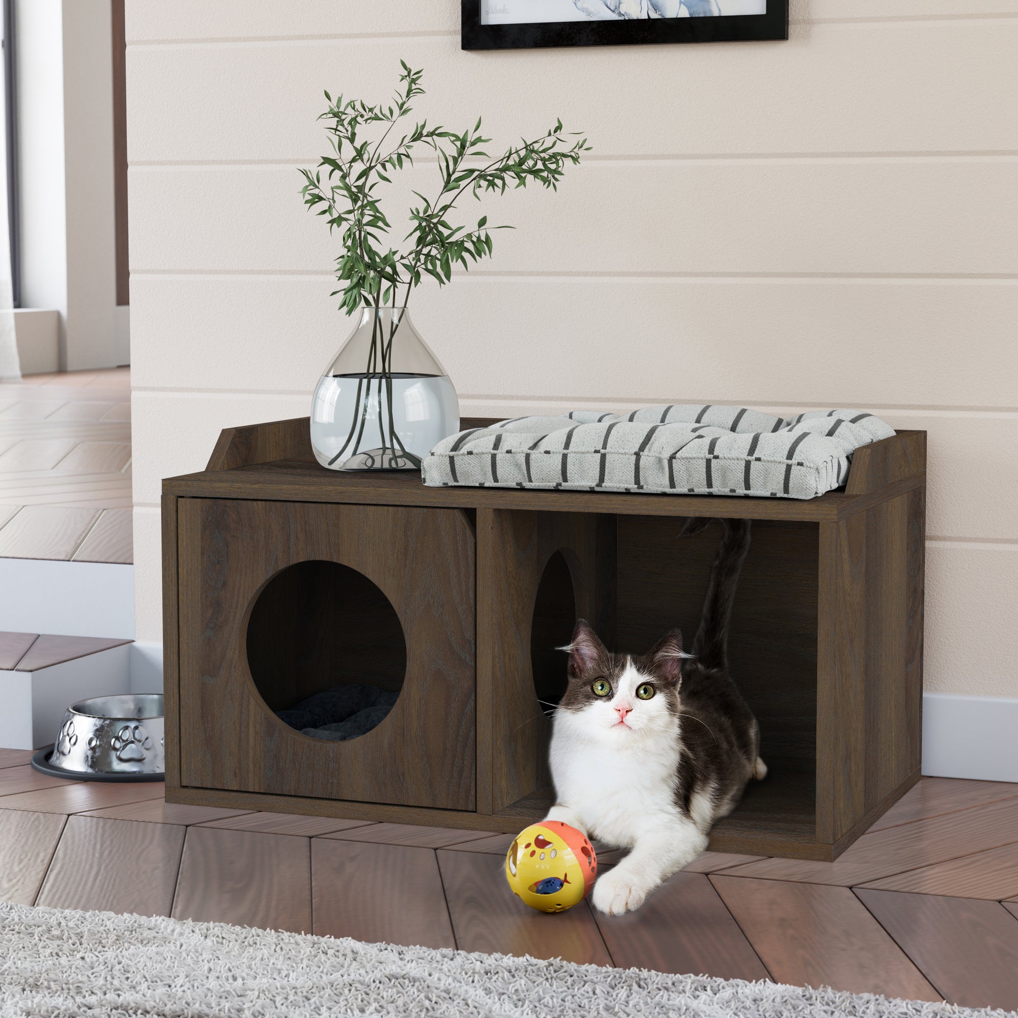 Cat cube outlet house