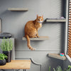 Cat Scratcher Floating Shelf Combo 4 Pack, Aspen Grey (pre-order ships 6/30/25)