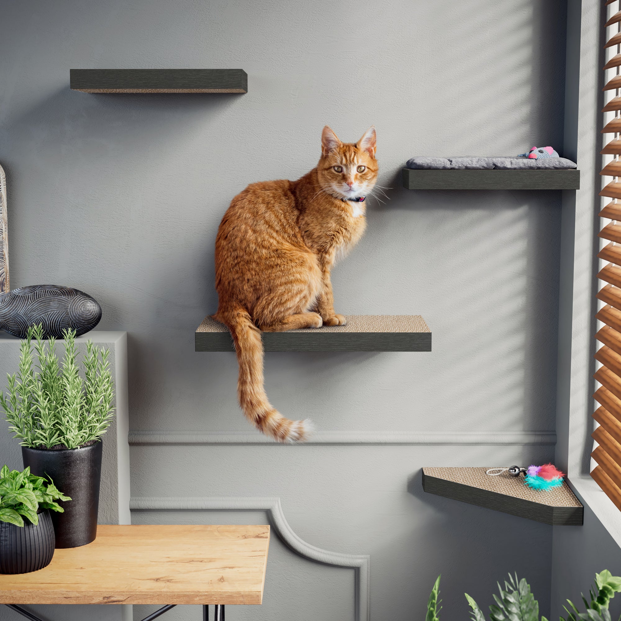 Shelf discount cat furniture