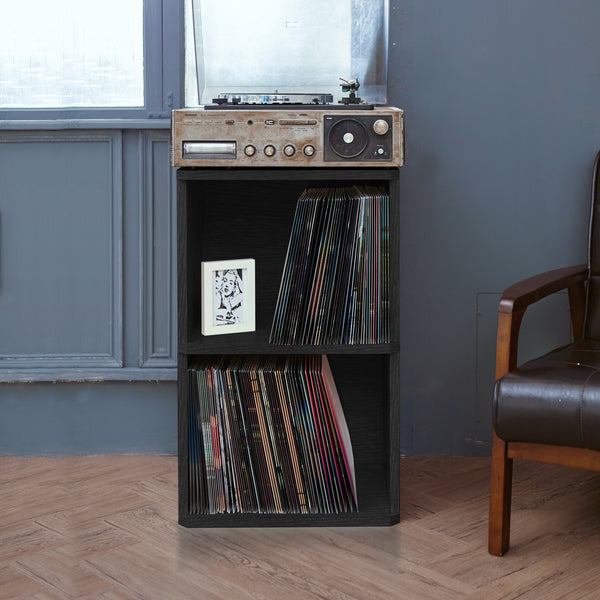 Vinyl Record Storage 2 Cube in Black | Way Basics