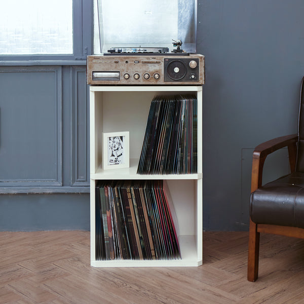 Vinyl Record Storage 2 Cube in White | Way Basics