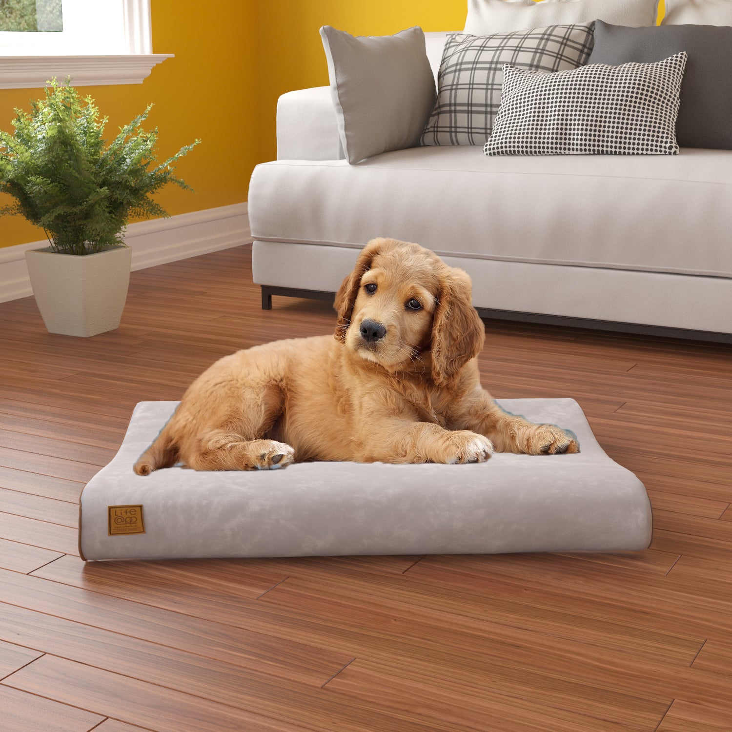 Way Basics | Pup Pup Kitti Bliss Orthopedic Breatheable Pet Mat with NoFom Cushion Technology Medium, Grey